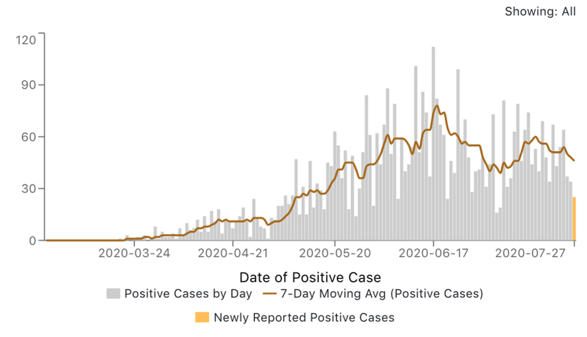 Elkhart County covid data july 29 2020